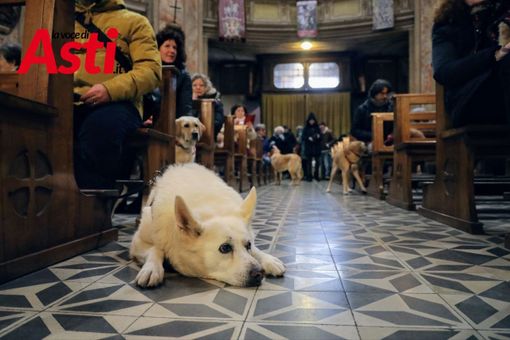 Un'immagine (ph. Merfephoto - Efrem Zanchettin) dell'edizione 2025 della benedizione Un'immagine (ph. Merfephoto - Efrem Zanchettin) dell'edizione 2025 della benedizione
