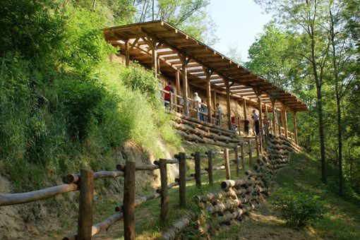 Uno degli affioramenti fossiliferi della Riserva Naturale di Valle Andona, nell'Astigiano