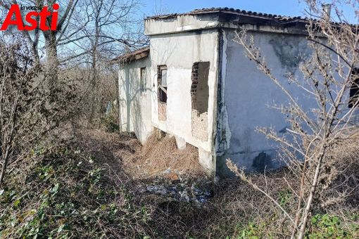 La colonia felina della Casa dell'Avvocato (Merphefoto)