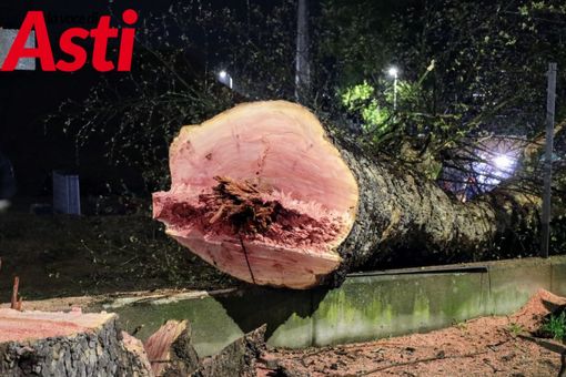 MerfePhoto MerfePhoto