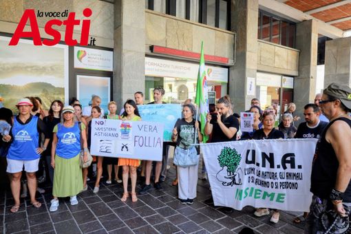 Galleria fotografica a cura di Merfephoto - Efrem Zanchettin