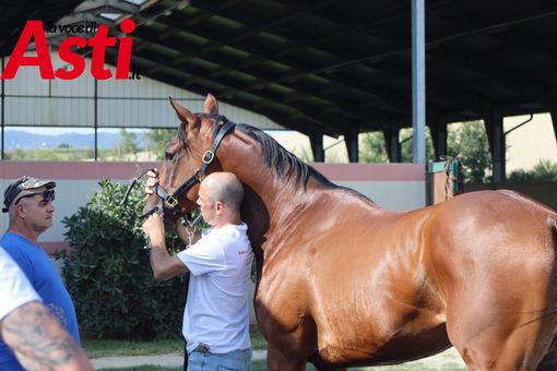 Le visite di oggi pomeriggio (Merphefoto) Le visite di oggi pomeriggio (Merphefoto)