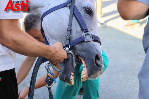 Ricca fotogallery di MerfePhoto