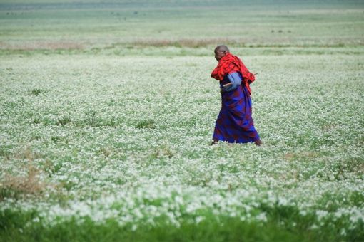 Dalla savana al cratere del Ngorongoro: ad Asti si viaggia con i racconti sulla Tanzania