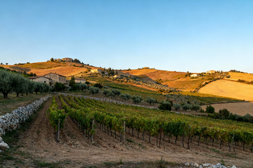 Castagnole delle Lanze ospita la cerimonia del Premio Nazionale “Terre Lavoro Paesaggio” 2025