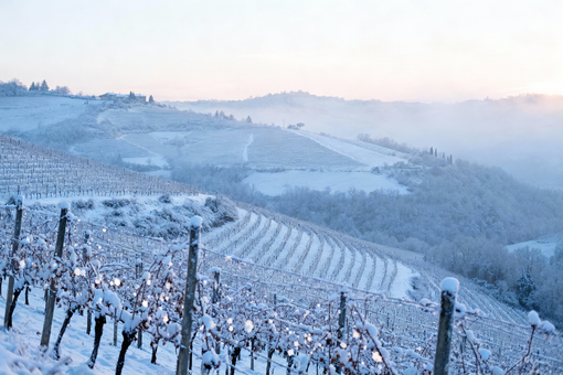 Prima neve di stagione sulla Langa astigiana: l'inverno arriva nel weekend Prima neve di stagione sulla Langa astigiana: l'inverno arriva nel weekend