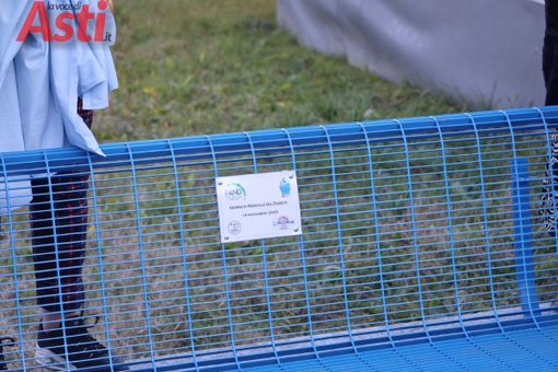 Galleria fotografica MerfePhoto