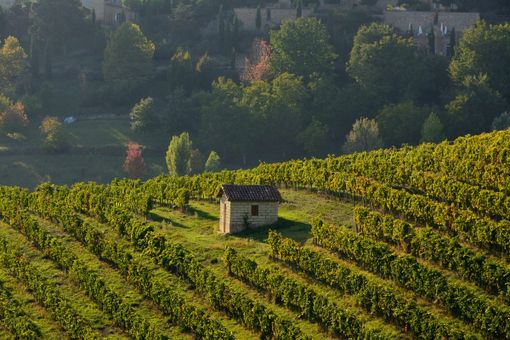 La cantina Produttori di Govone apre le porte al pubblico