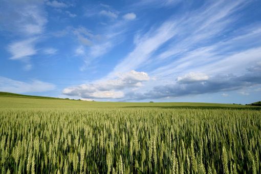 Le tensioni tra Russia e Ucraina 'spaventa' anche il mercato alimentare Le tensioni tra Russia e Ucraina 'spaventa' anche il mercato alimentare