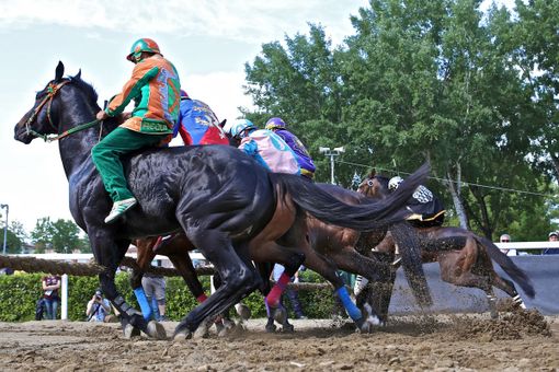 Un'immagine di una passata edizione del Palio di Fucecchio (foto Palio delle Contrade di Fucecchio) Un'immagine di una passata edizione del Palio di Fucecchio (foto Palio delle Contrade di Fucecchio)