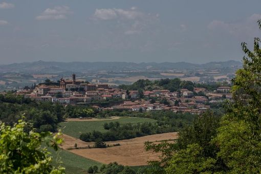 Ph Beppe Cantarelli