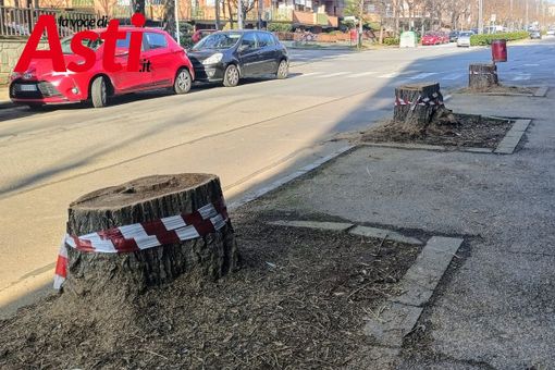 Ph. Merfephoto - Efrem Zanchettin