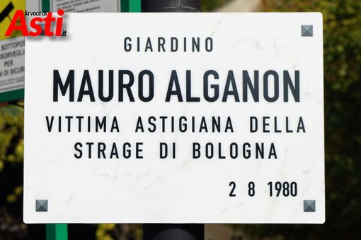 Foto e video MerfePhoto