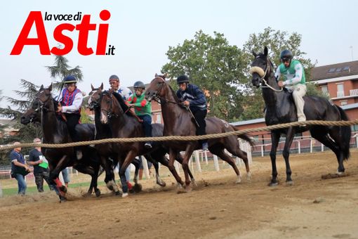 Galleria fotografica a cura di Merfephoto - Efrem Zanchettin