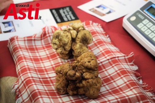 Galleria fotografica a cura di Merfephoto - Efrem Zanchettin