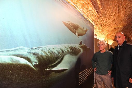 Nominato il nuovo vertice della Comunità delle Aree Protette Astigiane