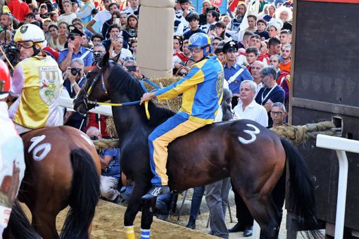 Tittia al Canapo nella scorsa edizione del Palio (Ph. Merfephoto - Efrem Zanchettin)