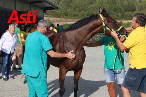 Le visite del pomeriggio (galleria fotografica a cura di Efrem Zanchettin)