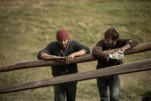 Nuova collaborazione tra Sala Pastrone e la "Piccola libreria indipendente" di Asti con il film "Le otto montagne"