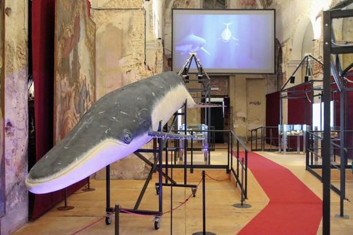 Ph Merfephoto Ph Merfephoto