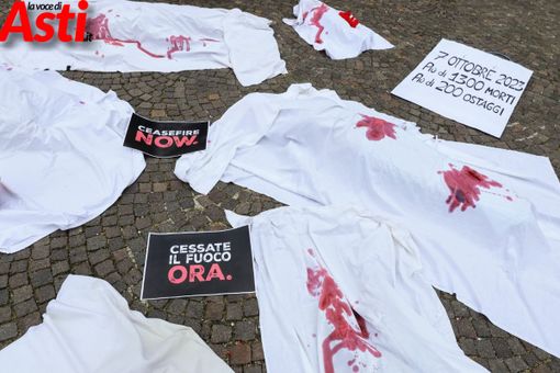 Foto e video di MerfePhoto