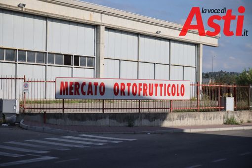 MerfePhoto MerfePhoto