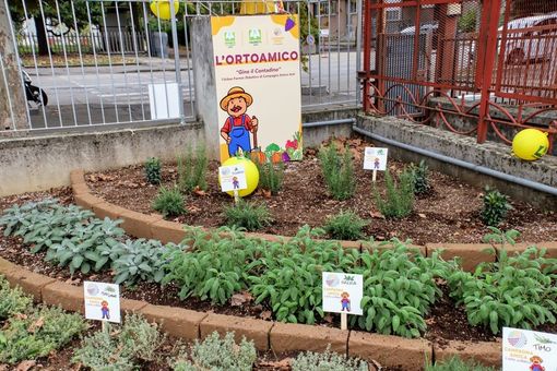 L'OrtoAmico Coldiretti Asti (ph. Efrem Zanchettin - Merfephoto) L'OrtoAmico Coldiretti Asti (ph. Efrem Zanchettin - Merfephoto)