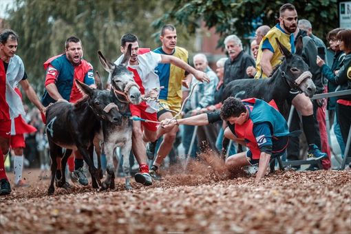 Palio degli asini di Cocconato d'Asti