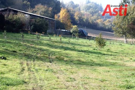 Il parco di via Mattarella