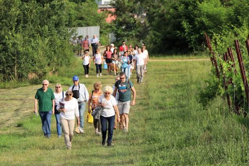 Un immagine della scorsa edizione del picnic