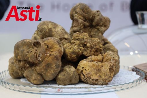 Galleria fotografica a cura di Merfephoto - Efrem Zanchettin Galleria fotografica a cura di Merfephoto - Efrem Zanchettin