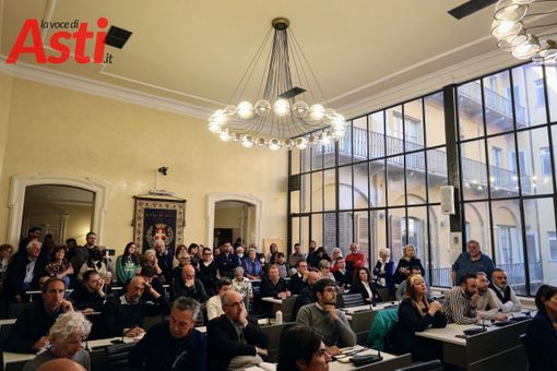 MerfePhoto MerfePhoto