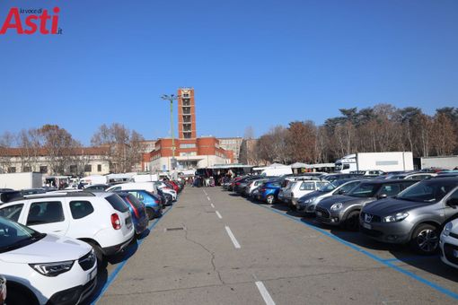 MerfePhoto MerfePhoto