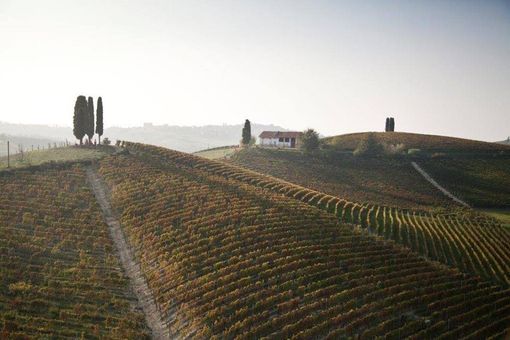 Viviamo in un posto bellissimo che si racconta da solo Viviamo in un posto bellissimo che si racconta da solo