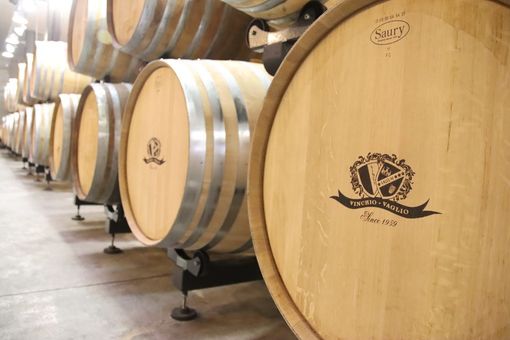 Il mare verde sulle colline della Barbera, con un progetto di promozione territoriale e di marketing del vino