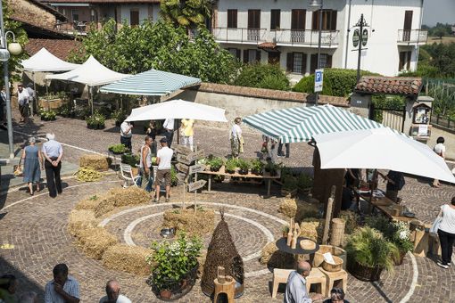 Cellarinia 2022: le api volano, le mucche no. E le balene?