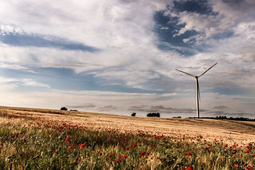 Ipotesi taglio IVA, Confagricoltura Asti: “Positiva l’apertura del Governo a valutare la nostra proposta”
