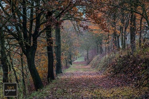 Photo credit 365 Monferrato