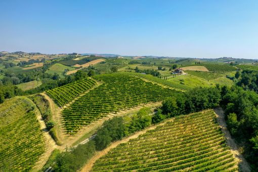 Ferraris Agricola presenta Opera Prima Riserva 2017
