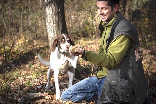 La cerca del tartufo (ph. Tino Gerbaldo) La cerca del tartufo (ph. Tino Gerbaldo)