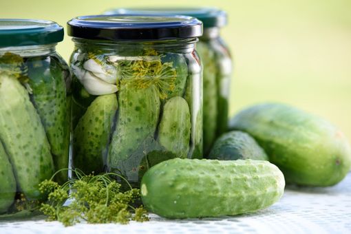 Conservazione degli alimenti: dove trovare le migliori macchine sottovuoto online Conservazione degli alimenti: dove trovare le migliori macchine sottovuoto online