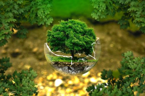 Oggi si celebra la 'Giornata Mondiale della Terra': cosa possiamo fare? (VIDEO)