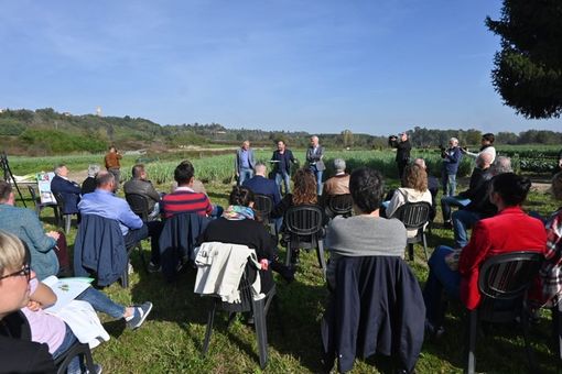 Foto: Barbara Guazzone Foto: Barbara Guazzone