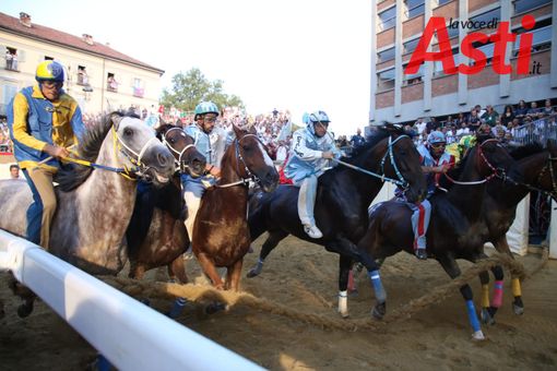 Merfe Photo Merfe Photo