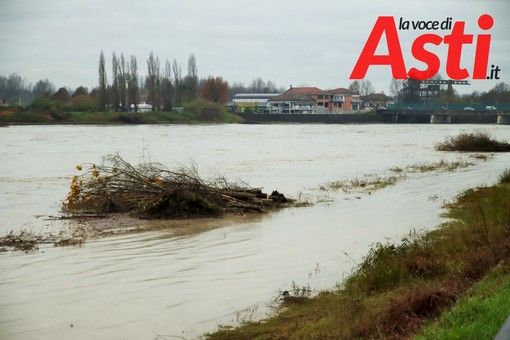 MerfePhoto - Efrem Zanchettin MerfePhoto - Efrem Zanchettin