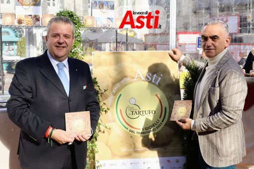 Merphefoto Merphefoto