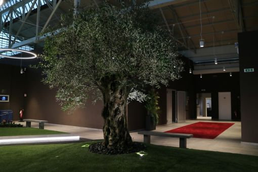 Giubileo approda sulle reti Mediaset Giubileo approda sulle reti Mediaset