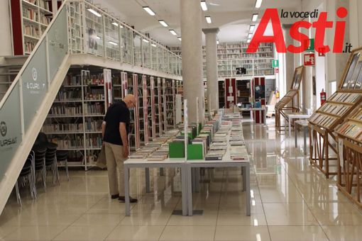 MerfePhoto MerfePhoto