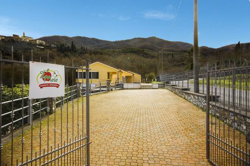 Sei un produttore agricolo? Trasforma la tua produzione in prodotti sotto olio, marmellate e composte Sei un produttore agricolo? Trasforma la tua produzione in prodotti sotto olio, marmellate e composte