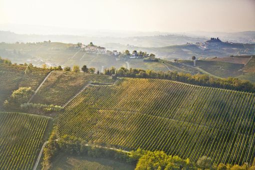Michele Chiarlo raddoppia la propria presenza nell'area di produzione del Nizza Docg Michele Chiarlo raddoppia la propria presenza nell'area di produzione del Nizza Docg